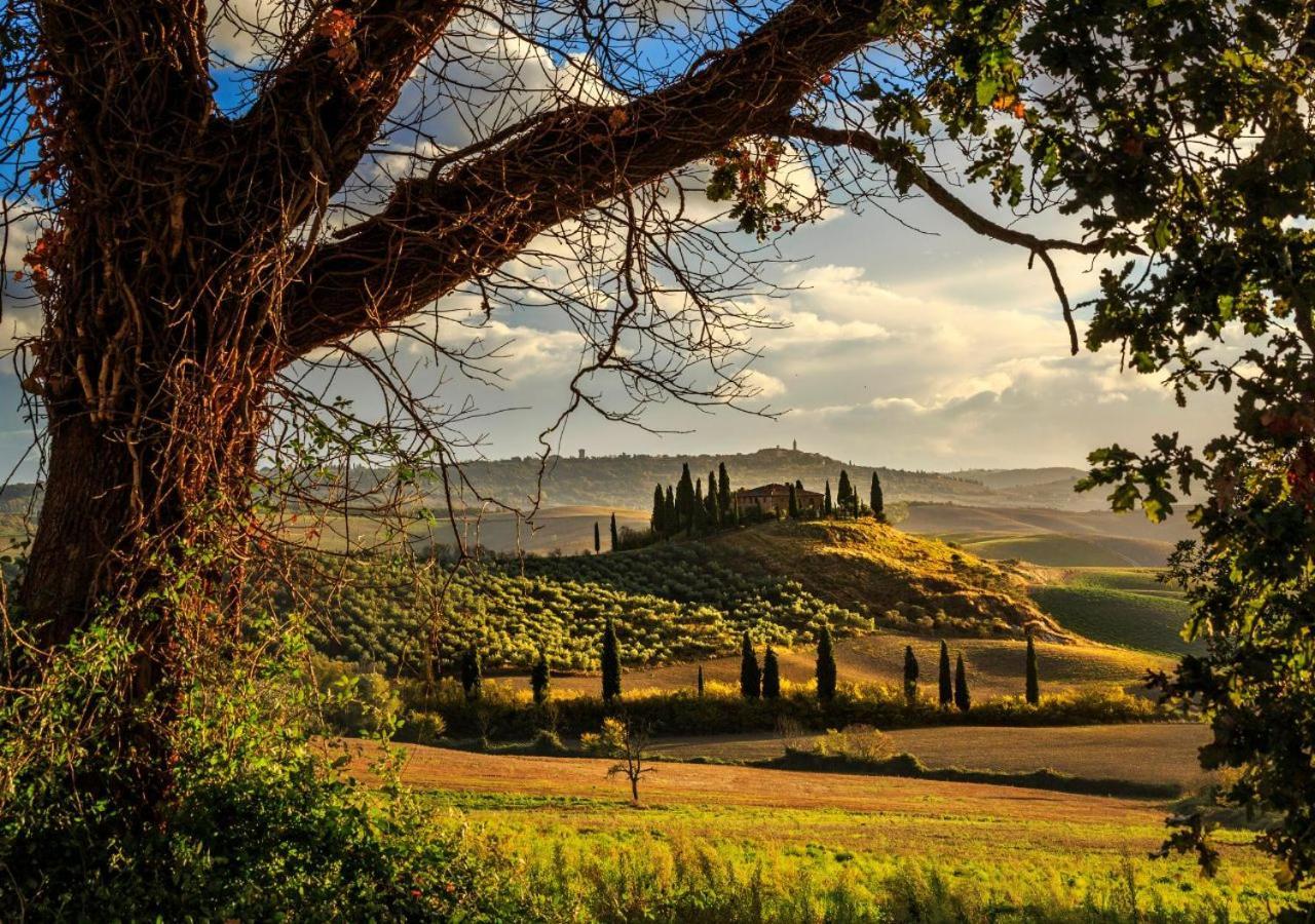 15 Min Da Montepulciano - Villa Chiara Montefollonico Luaran gambar